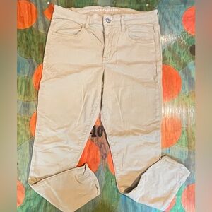 American Eagle Women’s Tan Beige Super Stretch Jegging Pants Size 14 Regular 32